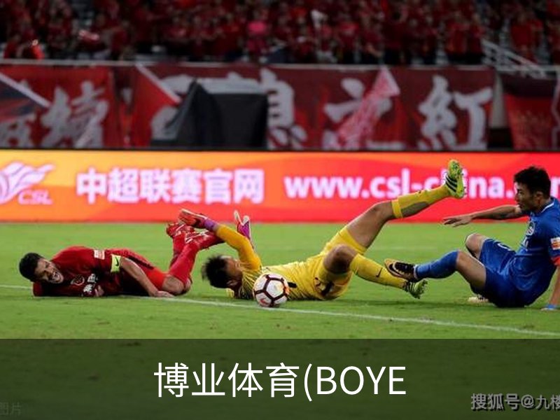 博业体育(BOYE概况